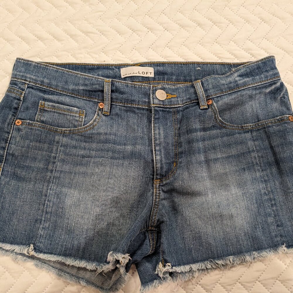 Ann Taylor Loft Jean Cut Off Shorts